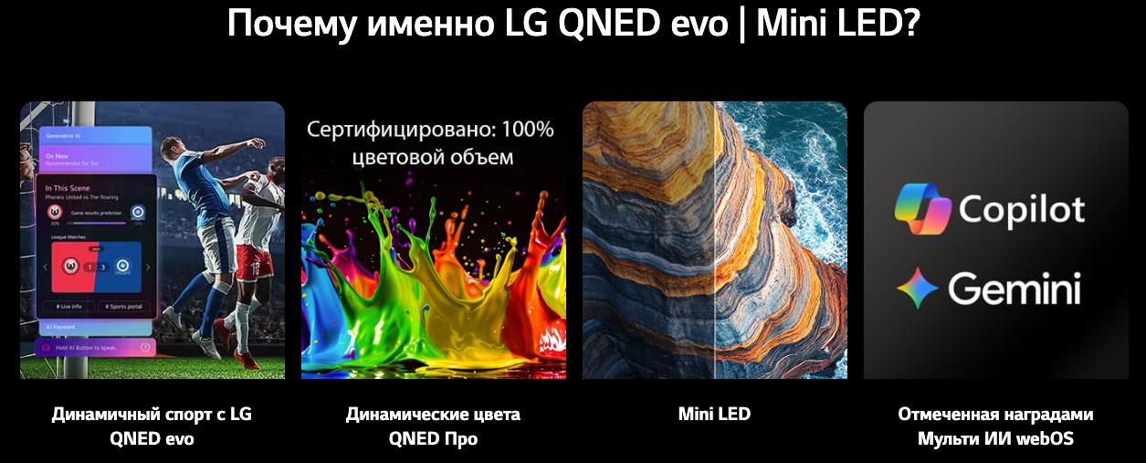 TV-50QNED80B6B