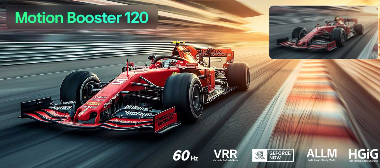 TV-50QNED80B6B