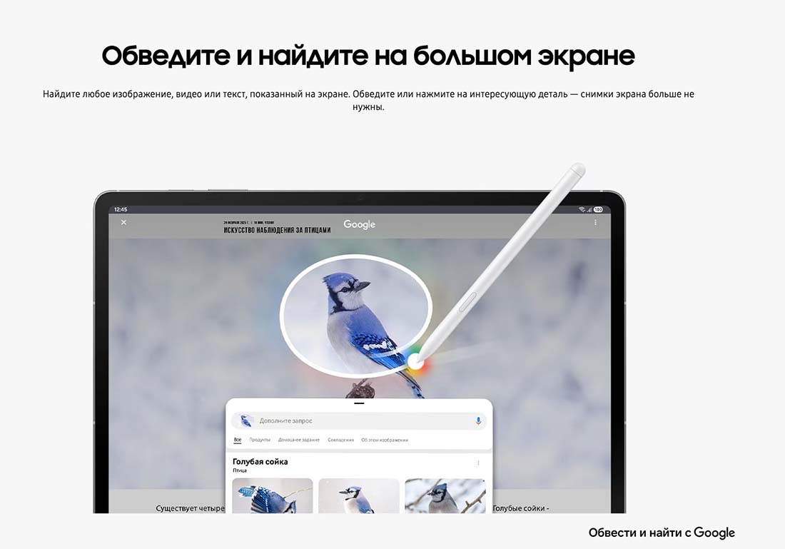 galaxy-tab-s10-fe в Тольятти galaxy-tab-s10-fe