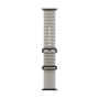 Apple Watch Ultra 4, 49 мм корпус из титана цвета «Black», ремешок Ocean Band цвета «Translucent Gray»