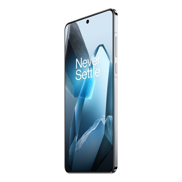 OnePlus 13 (2024) 12/256Gb Blue, синий